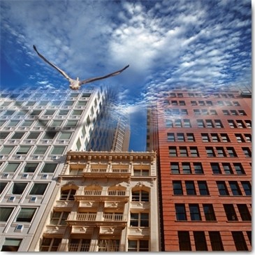 L´envol, Maïlo / M-L Vareilles (Moderne Fotokunst, Architektur, Gebäude, Vogel, Möwe, Abflug, Fantasie, surreal, Wolken, Wohnzimmer, Wunschgröße, bunt)