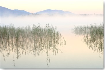 Uwe Steger, Morgenzauber (Landschaften, Wasser, See, Gräser, Zeitlos, diffus, Dunst, Dämmerung, Morgenlicht, Stimmung, Fotokunst, Wohnzimmer, Schlafzimmer, Treppenhaus, Wunschgröße,  bunt)