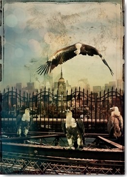 André Sanchez, Zoo City - Vultures (New York, Metropole, Stadt, Skyline, Geier, Brückengeländer, Fotokunst, surreal, Wunschgröße, Wohnzimmer, Jugendzimmer, Treppenhaus, bunt)
