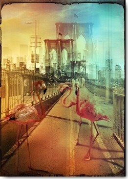 André Sanchez, Zoo City - Flamingos (Flamingos, Brooklyn Bridge, New York, Metropole,  Wahrzeichen, Fotokunst, surreal, Wunschgröße, Wohnzimmer, Jugendzimmer, Treppenhaus, bunt)