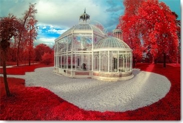 Tonee Gee, Gradignan, Glasshouse II (Glashaus, Gustave Eiffel, Frankreich, Pavillon, Gartenarchitektur, Fotokunst, Wunschgröße, Wohnzimmer, rot/weiß)