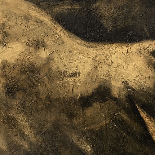 Inna Panasenko, Toros VI (Tier, Stier, Toro, Energie, Kraft, Bewegung, Detail, figurativ, zeitgenössische Malerei, modern, Wohnzimmer, Jugendzimmer, Wunschgröße, schwarz/grau/creme)