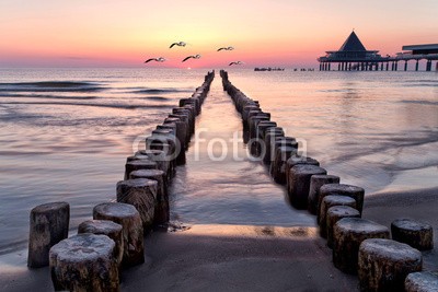 Jenny Sturm, am Strand von Usedom (stranden, gull, sunrise, sommer, ostsee, meer, küste, orange, usedom, morgens, frühe, morgens, allein, allein, stille, menschenleer, gull, vögel, erholung, urlaub, freiheit, erholung, frieden, horizont, landschaft, pastell, ruhe, sehnsüchtig, tourismu)