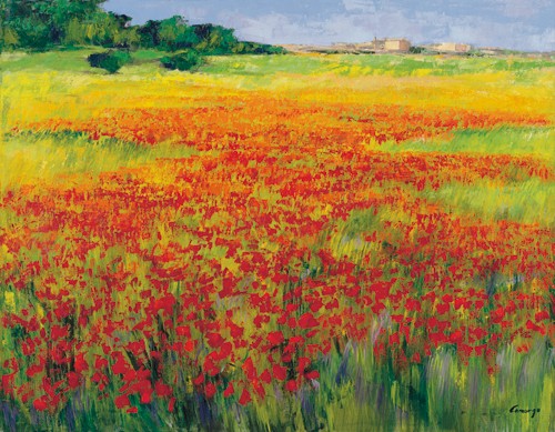 Jesús P. Camargo, Amapolas IV (Wunschgröße, Landschaft, Garten, Wiese, Blumen, soziale Einrichtungen, Büro, Business, Arzt, Wohnzimmer,bunt)