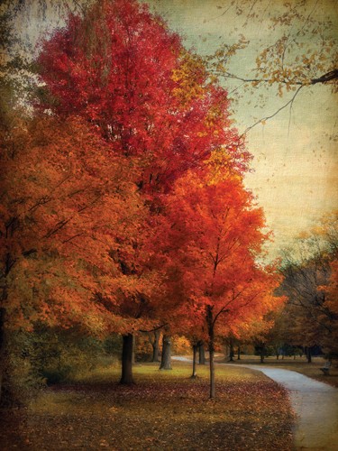 Jessica Jenny, Among the Maples (Wunschgröße, Malerei, modern, Jahreszeit, Ahorn, Herbst, Landschaftsmalerei, Landschaft, Natur, Park, Bäume, Herbstlaub, Weg, Ruhe, Einsamkeit, Wohnzimmer, Treppenhaus, bunt)