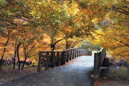 Jessica Jenny, Autumn Overpass (Wunschgröße, Malerei, modern, Jahreszeit, Herbst, Brücke, Übergang, Landschaftsmalerei, Landschaft, Natur, Park, Bäume, Herbstlaub, Weg, Ruhe, Einsamkeit, Wohnzimmer, Treppenhaus, bunt)