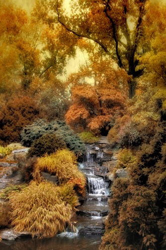 Jessica Jenny, Japanese Rock Garden (Wunschgröße, Malerei, modern, Jahreszeit, japanischer Garten, Herbst, Bach, Kaskaden, Landschaftsmalerei, Landschaft, Natur, Park, Bäume, Herbstlaub, Ruhe, Einsamkeit, Wohnzimmer, Treppenhaus, bunt)