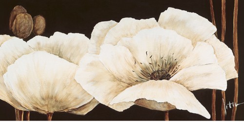 Jettie Roseboom, Amazing Poppies IV (Mohn, Mohnblüte, Klatschmohn, Blumen, Blütenblätter, Mohnkapsel, zart, filigran, Malerei, Treppenhaus, Esszimmer, Wohnzimmer, creme/schwarz)