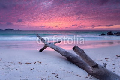 Jenny Sturm, Sonnenuntergang am Strand (seychelles, sonnenuntergang, strand, sonnenuntergang, insel, meer, romantisch, sommernacht, wasser, holz, lila, erholung, urlaub, hochzeitsreise, freiheit, frieden, himmel, hintergrund, horizont, kitschig, klima, kreuzfahrt, landschaft, liebe, ozea)