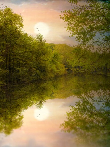 Jessica Jenny, Sunrise (Wunschgröße, Malerei, modern, Sonnenaufgang, Frische, Teich, See, Spiegelungen, Sommer, Landschaftsmalerei, Landschaft, Natur, Bäume, Ruhe, Einsamkeit, Wohnzimmer, Treppenhaus, bunt)