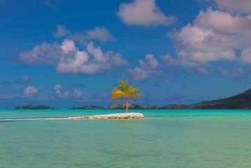 John Xiong, Bora Bora Lone Palm (Meeresbrise, Strand, Sand, Traumstrand, Idylle, maritim, Horizont, Fotografie, Wunschgröße, Badezimmer, Treppenhaus, Wohnzimmer, bunt)