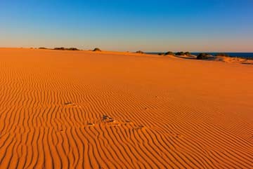 John Xiong, Myall Lakes Dunes (Photokunst, Wunschgröße, Landschaften, Wüste, Sand, Dünen, Wellenmuster, Nationalpark, Australien,  Wohnzimmer)