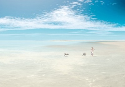 Jürgen Rogner, Fellinis dogs (Meer, Strand, Traumstrand, Sand, Düne, Sommer, Strandspaziergang, Hunde, Urlaub, Erholung, Meeresbrise, Wunschgröße, Malerei, Badezimmer, Wohnzimmer, bunt)