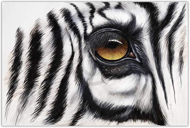 Jutta Plath, Zebra Augenblick (Zebra, Nahansicht, Zebraauge, Tierportrait, naturalisitisch, naturgetreu, Treppenhaus, Jugendzimmer, Wohnzimmer, Wunschgröße, bunt)