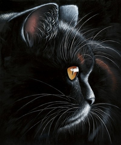 Jutta Plath, Black Tiger (Katze, Tierportrait, schwarze Katze, Fotorealismus, naturalisitisch, naturgetreu, Treppenhaus, Jugendzimmer, Wohnzimmer, Wunschgröße, schwarz)