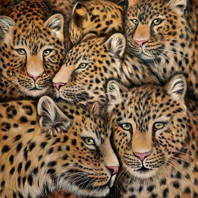 Jutta Plath, Leopardenmix (Raubtier, Leoparden, Raubkatzen, Tierportraits, naturalisitisch, naturgetreu, Treppenhaus, Jugendzimmer, Wohnzimmer, Wunschgröße, bunt)