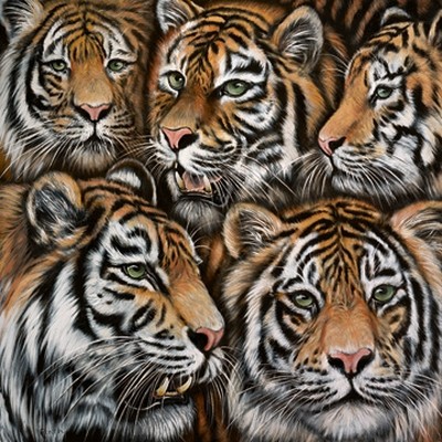 Jutta Plath, Tigermix (Raubtiere, Tiger, Raubkatzen, Tigergruppe, Tierportrait, naturalisitisch, naturgetreu, Treppenhaus, Jugendzimmer, Wohnzimmer, Wunschgröße, bunt)