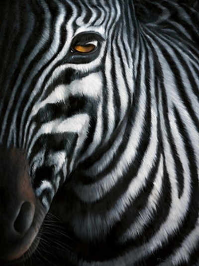 Jutta Plath, Zebra I (Zebra, Zebrakopf, Tierportrait, naturalisitisch, naturgetreu, Zebrafell, Treppenhaus, Jugendzimmer, Wohnzimmer, schwarz/weiß/braun)