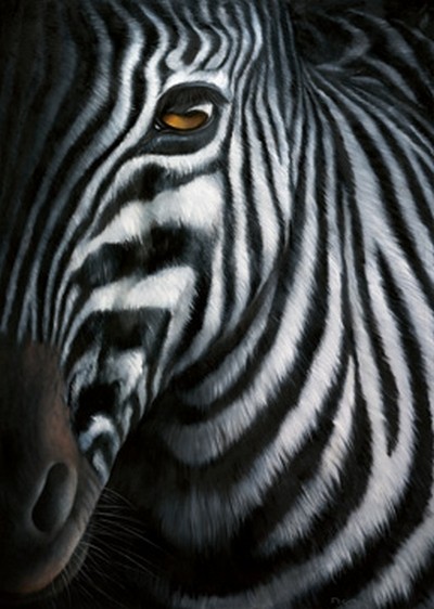 Jutta Plath, Zebra I (Zebra, Zebrakopf, Tierportrait, naturalisitisch, naturgetreu, Zebrafell, Treppenhaus, Jugendzimmer, Wohnzimmer, Wunschgröße, schwarz/weiß/braun)
