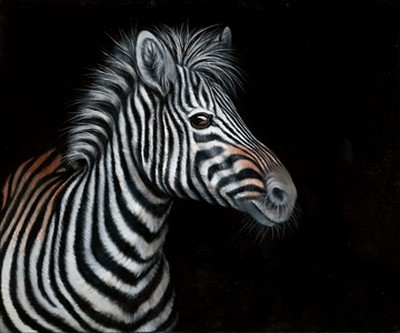 Jutta Plath, Zebra II (Zebra, Zebrakopf, Tierportrait, naturalisitisch, naturgetreu, Zebrafell, Treppenhaus, Jugendzimmer, Wohnzimmer, Wunschgröße, schwarz/weiß/braun)