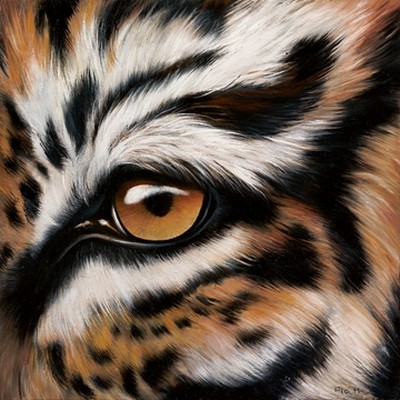 Jutta Plath, Tigerauge (Raubtier, Tiger, Nahansicht, Tigerauge, Raubkatze, Tierportrait, naturalisitisch, naturgetreu, Treppenhaus, Jugendzimmer, Wohnzimmer, Wunschgröße, bunt)