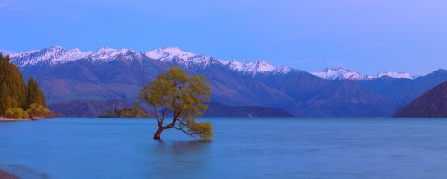 John Xiong, Wanaka (Photokunst, Wunschgröße,  Landschaften, Berge, Bergkette, See, Baum, Neuseeland, Ruhe, Stille, Wohnzimmer, Treppenhaus, bunt)