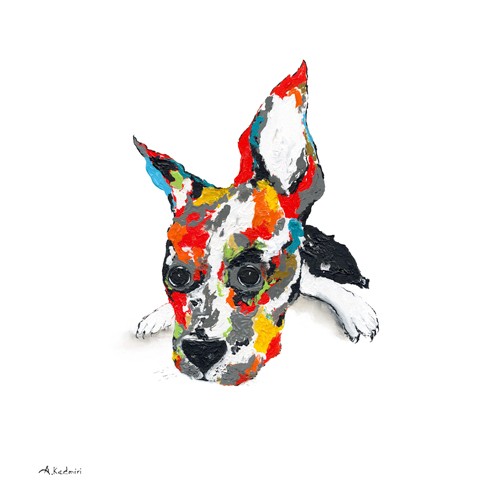 Aziz Kadmiri, Cesar (PopArt, Hund, Hundeportrait, Tier, Farbflecken, modern, Jugendzimmer, Treppenhaus, Wunschgröße,  bunt)