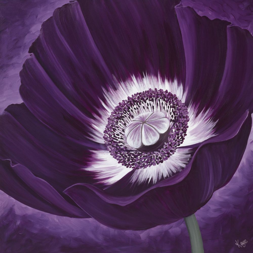 Kaye Lake, Purple Passion II (Blume, Blüte, Mohnblume,  Wohnzimmer, Treppenhaus, Schlafzimmer, Malerei, Zeitgenössisch, violett)