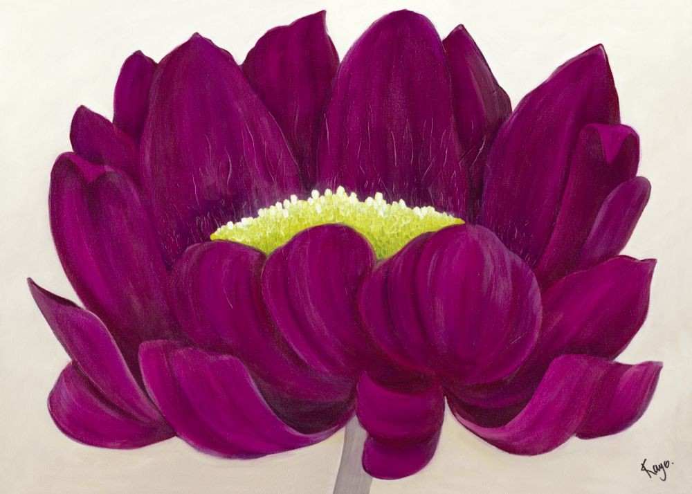 Kaye Lake, Raspberry Delight II (Blume, Blüte, Gerbera,  Wohnzimmer, Treppenhaus, Schlafzimmer, Malerei, Zeitgenössisch, violett)