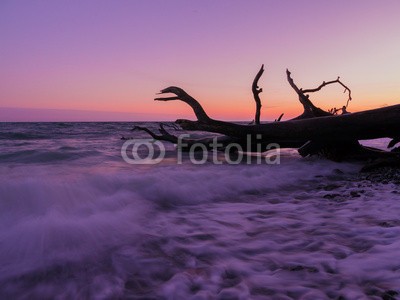 kentauros, Abenddämmerung an Rügens Kreideküste (küste, rügen, ostsee, glühbirne, wasser, mecklenburg, reise, reisen, natur, stranden, insel, himmel, wetter, abenddämmerung, abenddämmerung, urlaub, baum, strandgut, welle, abendhimmel, abendröte, national park, landschaft, deutsch, nordeuropa, europ)