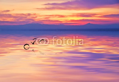 kesipun, el mar de color purpura (meer, landschaft, himmel, wolken, farb, blau, sommer, natur, beschaulichkeit, sonne, legenden, wasser, fröhlichkeit, strand, freizeit, lebensabend, spaziergang, reisen, urlaub, berg, tropisch, rasten, rio, liebe, peace, ozean, sunrise, reise, reise)