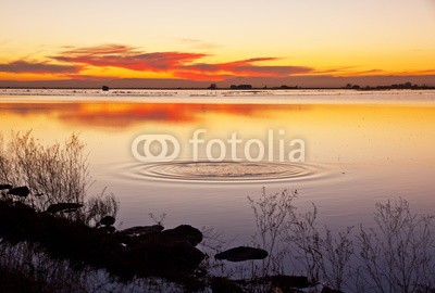 kesipun, ondas en el lago (see, landschaft, natur, peace, meer, rio, sonne, tage, insel, wasser, lebenszeit, freizeit, liebe, geflügel, blau, himmel, reise, spaziergang, strand, sommer, reisen, park, ozean, legenden, reisen, berg, sunrise, tropisch, reflex, entspannung, leut)