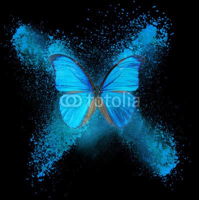 Kesu, Abstract butterfly (flügel, abstrakt, abstraktion, vektor, blau, wasserfarben, tier, konzept, frühling, grün, skizze, grafik, hintergrund, fliegender, dekoration, funke, natürlich, ornament, cyan, hell, vorlage, kleckse, dynamisch, element, malen, jahreszeit, moder)