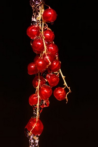 Kirsten Riedt, Johannisbeere (Johannisbeeren, Beeren, Obst, Früchte, Frisch, Lebensmittel, Gesundheit, Vegetarisch, Sommer, Küche, Esszimmer,  Gastronomie Fotokunst, Wunschgröße,rot)