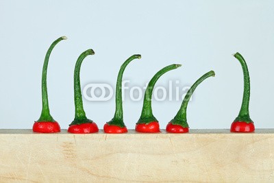 Klaus Eppele, Chilis (chilies, weinen, bleiben, müll, versammlung, boss, boss, schule, progression, zuschauer, gemüs)