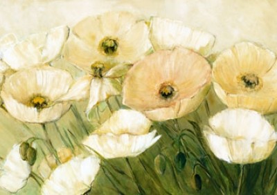 Elisabeth Krobs, Tender Poppies (Blumen, Blüten, Mohnblumen, weißer Mohn, filigran, zart,floral, Malerei, Wohnzimmer, Treppenhaus, Esszimmer, bunt)