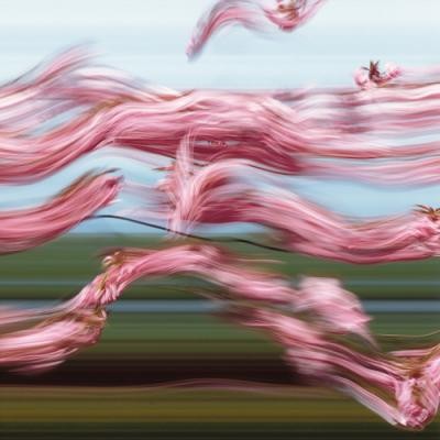Kramer Henning, Tide Turner 10 (Gezeitenwender, Bewegung, Geschwindigkeit, Spiel, Fotokunst, Wohnzimmer, Treppenhaus, Jugendzimmer, bunt)