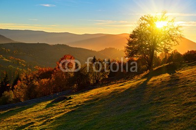 kyslynskyy, Landscape (alp, herbst, hintergrund, balken, schön, klima, wolken, farbe, staat, landschaft, morgengetränk, ökologie, umwelt, abend, flora, floral, wald, garten, gras, himeji, mittelgebirge, idyllisch, landen, landschaft, licht, wiese, morgens, berg, natürlich, natu)