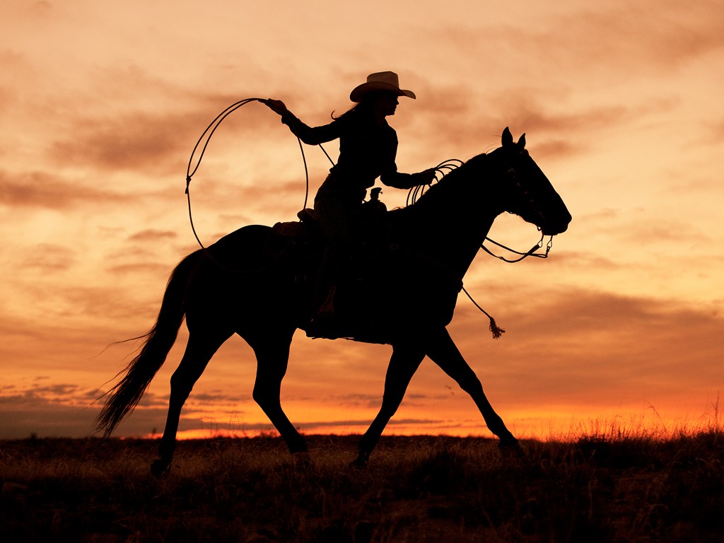 J.C. Leacock, Cowgirl Silhouette (Cowgirl, Reiterin, Lasso, Pferd, Silhouette, Landschaft, Sonnenuntergang, Fotografie, Wunschgröße, Wohnzimmer, orange/braun)