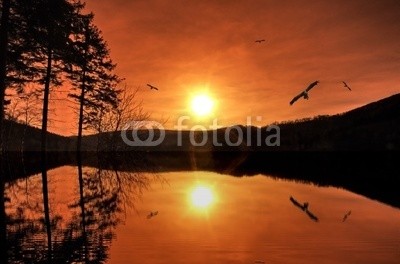 Lars Tuchel, magic moments (magie, mystisch, geheimnisvoll, landschaft, natur, sonnenuntergang, himmel, wolken, licht, lichtstimmung, wasser, wasser, see, baum, bÃ¤ume, vÃ¶gel, vÃ¶gel, flora, flug, fliege, birdseed, romantisch, querformat, sonne, spiegelung, silhouette, strukture)