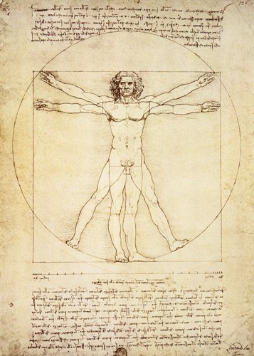 Leonardo da Vinci, Vitruvian Man (Wunschgröße, Klassiker, Renaissance, Studie,  vitruvianische Mensch, Proportionen, Anatomie, Federzeichnung, Zeichnung, Büro, Wohnzimmer, Treppenhaus, Arztpraxis, braun / weiß)