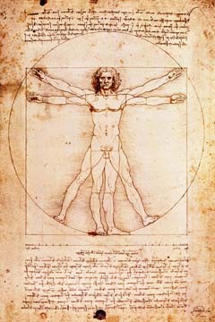 Leonardo da Vinci, Proportionszeichnung nach Vitruv (Klassiker, Renaissance, Studie,  vitruvianische Mensch, Proportionen, Anatomie, Federzeichnung, Zeichnung, Büro, Wohnzimmer, Treppenhaus, Arztpraxis, braun / weiß)