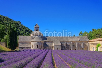 LianeM, Senanque 06 (abtei, kloster, proviant, frankreich, kirche, religion, southern france, vaucluse, zitadelle, tal, lavendel, ruhe, isoliert, stille, berg, luberon, lila, reih, romani)