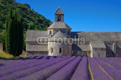 LianeM, Senanque 10 (abtei, kloster, proviant, frankreich, kirche, religion, southern france, vaucluse, zitadelle, tal, lavendel, ruhe, isoliert, stille, berg, luberon, lila, reih, romani)