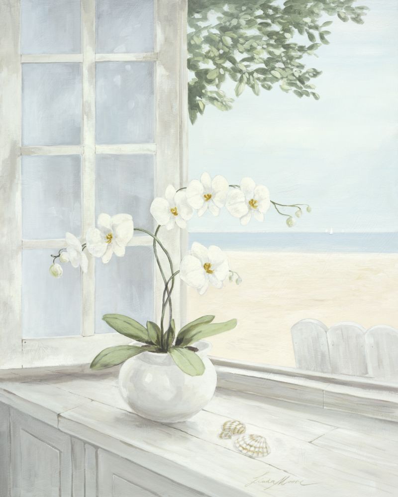 Linda Moore, Seashell (Malerei, Meeresbrise, Strand, Fenster, Ausblick, Meerblick, Muscheln, Orchidee, Licht, Hell, Esszimmer, Landhaus, bunt)