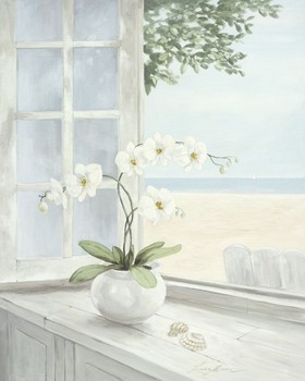 Linda Moore, Seashell (Malerei, Meeresbrise, Strand, Fenster, Ausblick, Meerblick, Muscheln, Orchidee, Licht, Hell, Esszimmer, Landhaus, bunt)