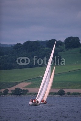 linous, Segelboot (segelboot, segel, boot, schiff, yacht, meer, wasser, see, ufer, wiese, grün, weiß, welle, blau, ber)