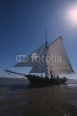 linous, Segelschiff (segelschiff, segel, schiff, meer, wasser, see, sonne, blau, himmel, mast, gespan)