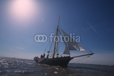 linous, Segelschiff (segelschiff, segel, schiff, meer, wasser, see, sonne, blau, himmel, mast, gespan)