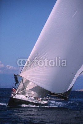 linous, Spinnaker (spinnaker, segel, boot, schiff, meer, wasser, blau, weiß, himmel, boge)